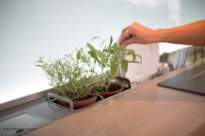 Caixa Umida para Gelo/Horta 22,5cm Inox