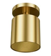 Chuveiro de Teto Mix & Match Ouro Escovado