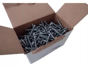 Kit Caixa c/ 200 Parafusos 4,8x50 Phillips Cabe�a Chata Auto Atarrachante - New Fix
