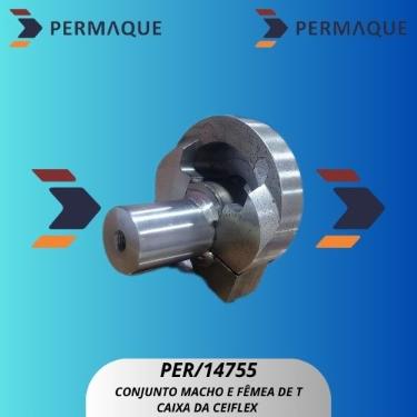 CONJUNTO MACHO E F�MEA DE 