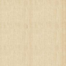 Compensado Paric� 1�  Qualidade 18mm