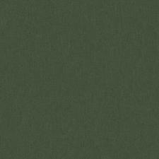 Fita Borda Amazonia 64x0,45 C/ 20mt