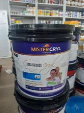 Massa Corrida PVA 25Kg MisterCryl