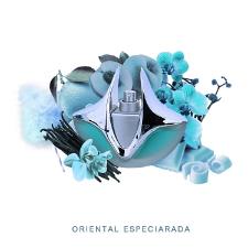 PERFUME SILVER LIGHT FEMININO LINN YOUNG COSCENTRA 100ML EAU DE PARFUM