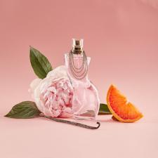 PERFUME SHAKIRA DANCE FEMININO EDT 30ML