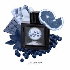 PERFUME SILVER OCEAN EDT 100ML