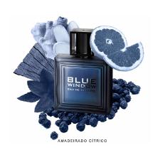 PERFUME BLUE WINDOW MASCULINO LINN YOUNG COSCENTRA 100ML EAU DE TOILETTE