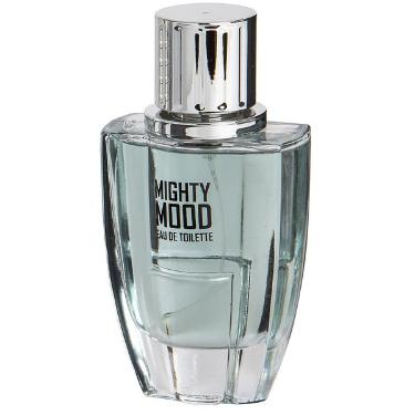 PERFUME MIGHT MOOD EDT 100 ML
