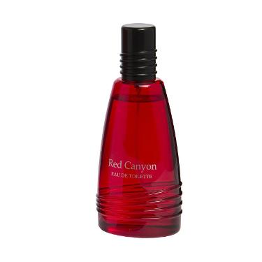 PERFUME RED CANYON MASCULINO EDT 100ML EAU THE TOILETTE