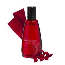 PERFUME RED CANYON MASCULINO EDT 100ML EAU THE TOILETTE