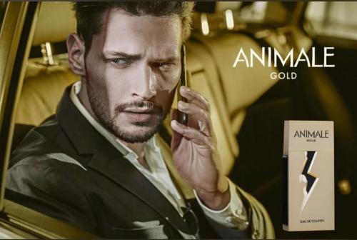 PERFUME ANIMALE GOLD EDT 30ML