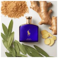 PERFUME POLO BLUE GOLD BLEND EDP 125ML