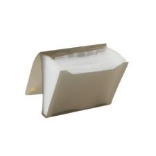 Pasta Sanfonada 15 Divis�es Duplicata-Transparente Fume