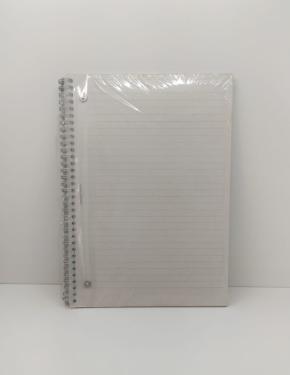 Refil Pautado Eco Long Life Cad A4 LL Rec Otima