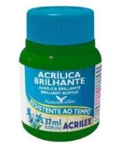 Tinta Acrilica Acrilex Brilhante 037 ml Verde Musgo Acrilex