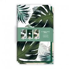 KIT CADERNETAS FLEX�VEIS PONTILHADA/ PALTADA/ SEM PAUTA IMPERIAL REDOMA