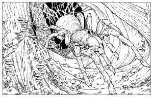 LIVRO ANTIESTRESSE CRIATURAS M�GICAS DE HARRY POTTER