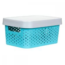 CAIXA ORGANIZADORA C/ TAMPA - 11L - DERMIWIL