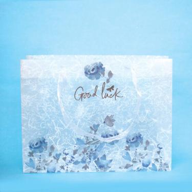 SACOLA PRESENTE DAC M HORIZONTAL GOOD LUCK 3399