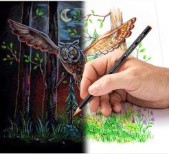 Lapis De Cor 24 Cores Super Soft Colored Staedtler