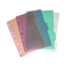 Divis�rias p/ Fich�rio Colegial/B5 Transpa. sor SORTIDO