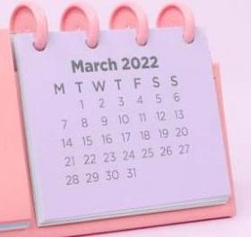 Refil de Calendario Meses 2022 Caderno inteligente