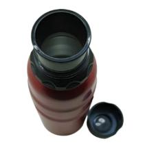 Garrafa Inox Golden Rio 750ml SORTIDAS