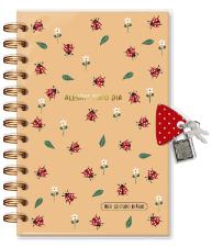 DIARIO COM CHAVE FINA IDEA 84 FOLHAS JOANINHA 4362