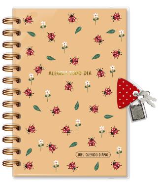 DIARIO COM CHAVE FINA IDEA 84 FOLHAS JOANINHA 4362