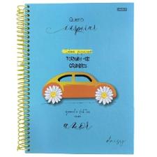 Caderno Espiral Tamanho Universit�rio 10 Mat�rias 160 folhas Daisy S�o Domingos