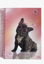 Caderno Brochura Tamanho 1/4 80 folhas My Pets S�o Domingos