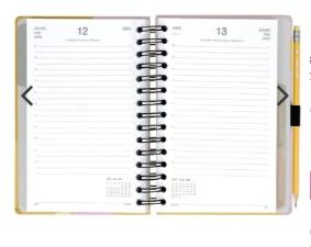 AGENDA 2023 OTIMA DIARIA MAXI ORNA PATO AM