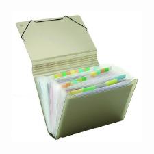 Pasta Sanfonada 31 Divisoes Of�cio - Transparente FUME