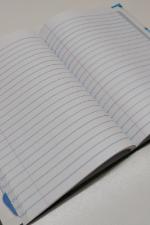 Caderno 1/4 Brochura Capa dura Pequeno d-rex -96 Fls -Tilibra