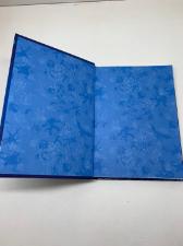 caderno 1/4 ben 10 brochura 96 folhas tilibra