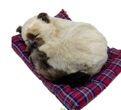 Pel�cia Alaskan Husky 10cm - Mini Petzzz