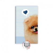 KIT CADERNETAS FLEX�VEIS PONTILHADA/ PAUTADA/ S.PAUTA CACHORRO REDOMA