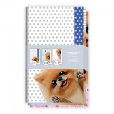 KIT CADERNETAS FLEX�VEIS PONTILHADA/ PAUTADA/ S.PAUTA CACHORRO REDOMA