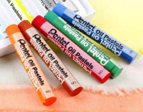 Giz Pastel a Ol�o 50 cores PHN-50 26651 Pentel