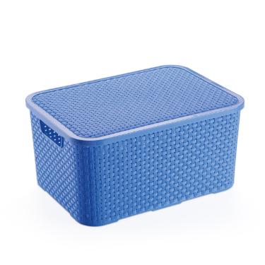 CAIXAS ORGANIZADORAS RATTAN TENDENCIAS 15 LITROS