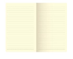 Pink Stone Papertalk Maxi Flex�vel Pautado Gm �tima