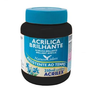 TINTA ACRILICA BRILHANTE 250ML PRETO 520 ACRILEX