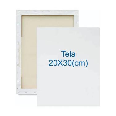 Tela Para Pintura 20X30