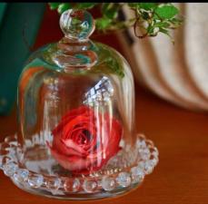 Porta Doce com Redoma de Bolinha