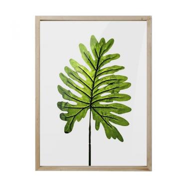 Quadro com Impress�o de Folha 30 cm