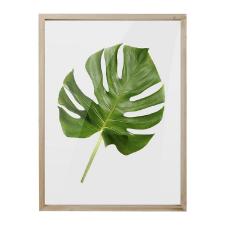 Quadro com Impress�o de Folha