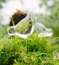 Vasinho Suspenso P�ssaro