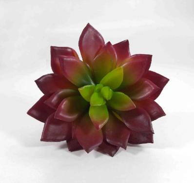 Suculenta Verde e Vermelho 10cm