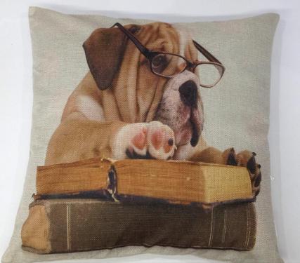 Capa para Almofada Dog com Oculos e Livros