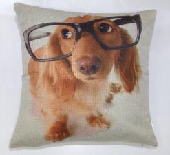 Capa para Almofada Dog com �culos